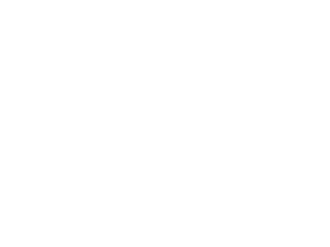 LOGO_MULTFLUXO1